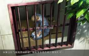 【NTR神作/汉化/动态】眉肉之香：本篇1.2+番外1.0 精翻完整汉化版+存档【全CV/2.7G】
