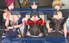 [ADV/汉化/步兵][圣少女] 背徳の馆：STARLESS 完全汉化步兵版+全CG存档 [4.1G/度盘]